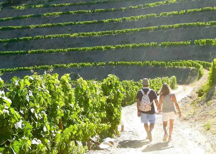 Quinta De La Rosa